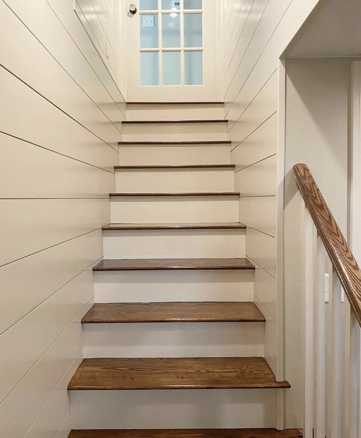 TR Painting Background